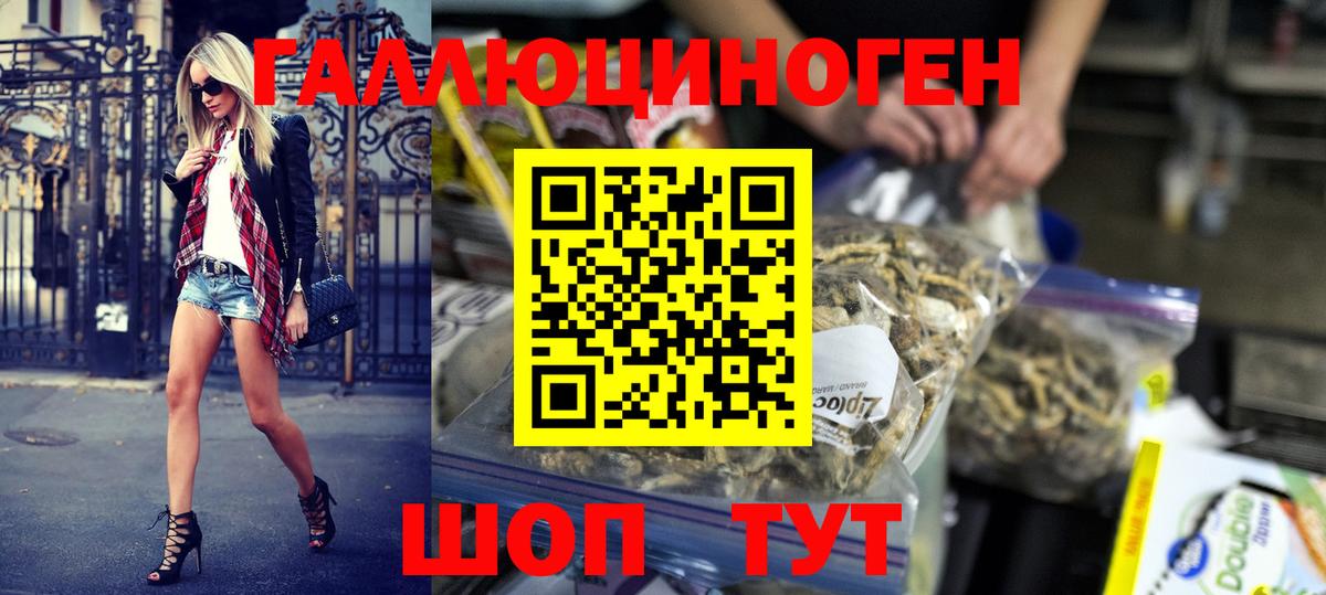 Галлюциногенные грибы Psilocybe Удомля